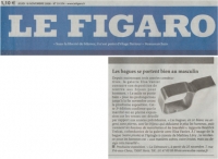 33_figaro.jpg